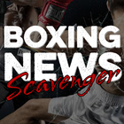 Boxing News Scavenger ícone