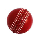 Cricket Simulator icon