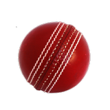 Cricket Simulator icône