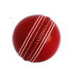 Cricket Simulator