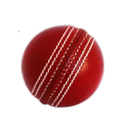 ikon Cricket Simulator