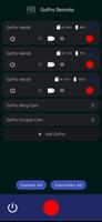 GoPro Remote постер
