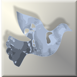 Words of Apostles Daily