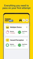 Theory Test Pro-poster