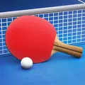 Table Tennis Touch