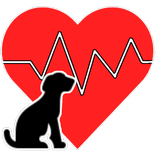 ”Cyfer Health Watchdog Lite