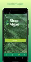 Bloomin' Algae 海报