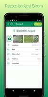 Bloomin' Algae ภาพหน้าจอ 3