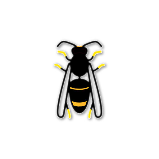 Asian Hornet Watch