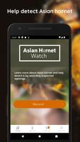 Asian Hornet Watch Affiche