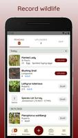 iRecord St Helena App bài đăng