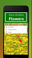 Rare Arable Flowers पोस्टर
