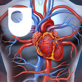 Human Heart App