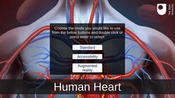 Human Heart Cartaz