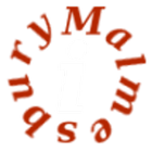 Historic Malmesbury (free) icon