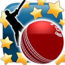 New Star: Cricket APK