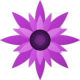 Lupus Flare Tracker APK