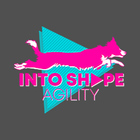 Into Shape Agility أيقونة