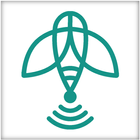 LLR WiFi icon