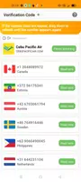 SMS Verification Code capture d'écran 1