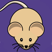 Cat Alone Toy - Fun Games for 