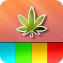 UP GO UP Weed Game APK