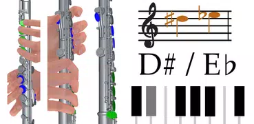 3D Flauta Notas