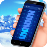 Professional thermometer