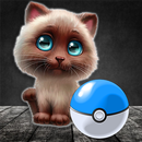 APK Catch cat! AR game