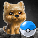 APK Catching dogs - augmented reality game