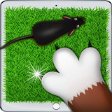 Mice for a cat! APK