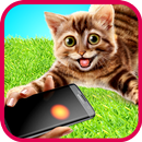 Laser game for cat APK
