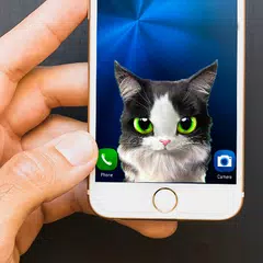 Sweet cat inside phone prank