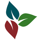 Christ Church Connect APK