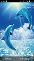 Dolphins Live Wallpaper Background Theme LWP Cartaz