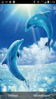 Dolphins Live Wallpaper Background Theme LWP imagem de tela 1