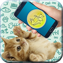 Cat translator prank APK