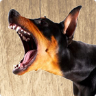 Barking Dog Ringtones icon