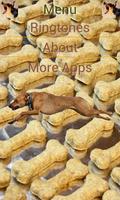 Barking Dog Ringtones screenshot 1