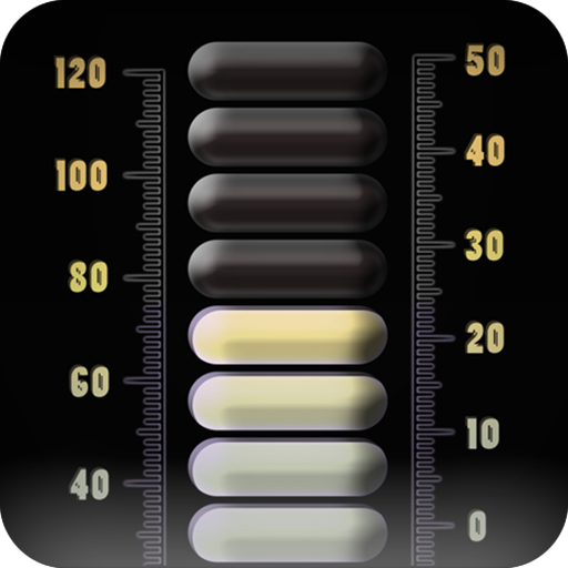 Digital thermometer