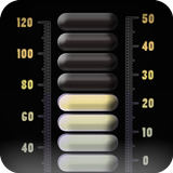 Digital thermometer