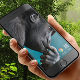 Gorilla in phone prank Zeichen