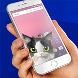 Cat inside phone prank icône