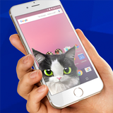 Cat inside phone prank أيقونة