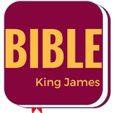 KJV Study Bible icône