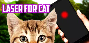 Laser for cat