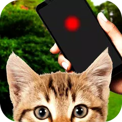 Laser for cat prank APK download