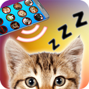 Cat sounds as lullaby for cats APK