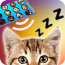 APK Cat sounds