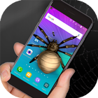 Spider in phone prank ícone